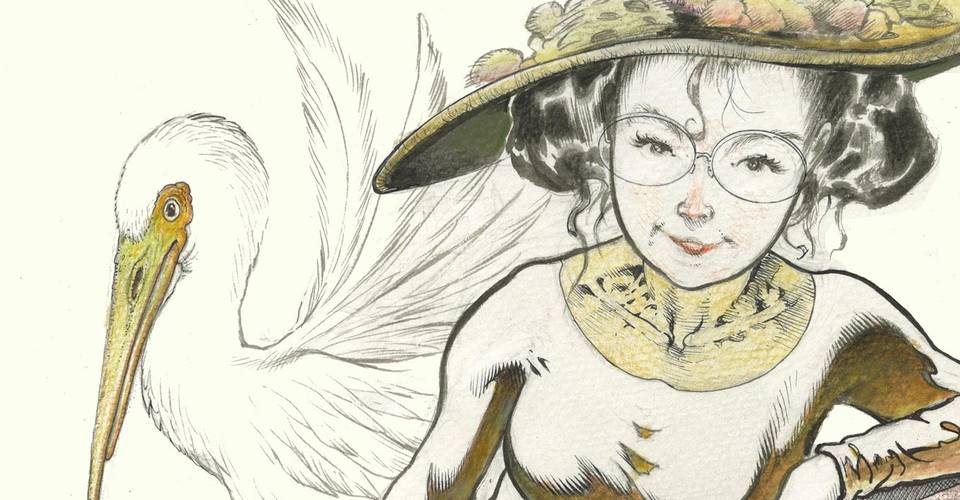 John Layman Sam Kieth Team On Eleanor Amp The Egret From