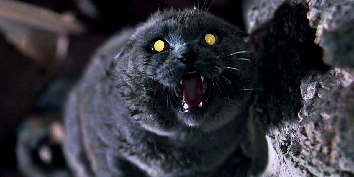 Stephen King's Pet Sematary Movie Sets 2019 Release | CBR