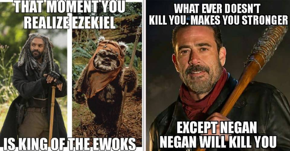 Savage Walking Dead Memes Cbr