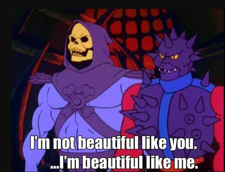 Skeletor Affirmation Memes Cbr