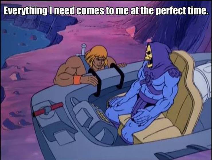 Skeletormemes Instagram Posts Gramho Com