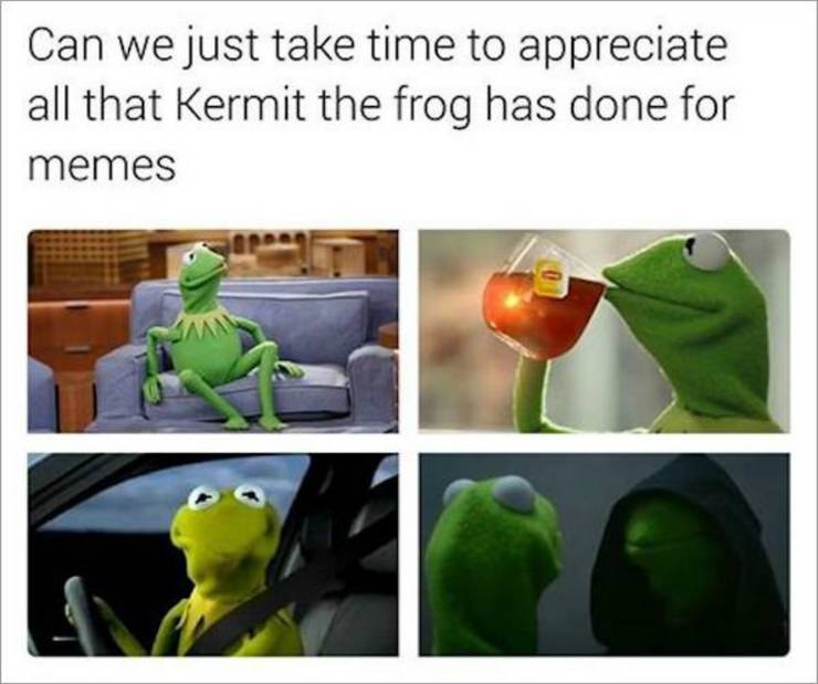 Funny Muppet Memes Cbr