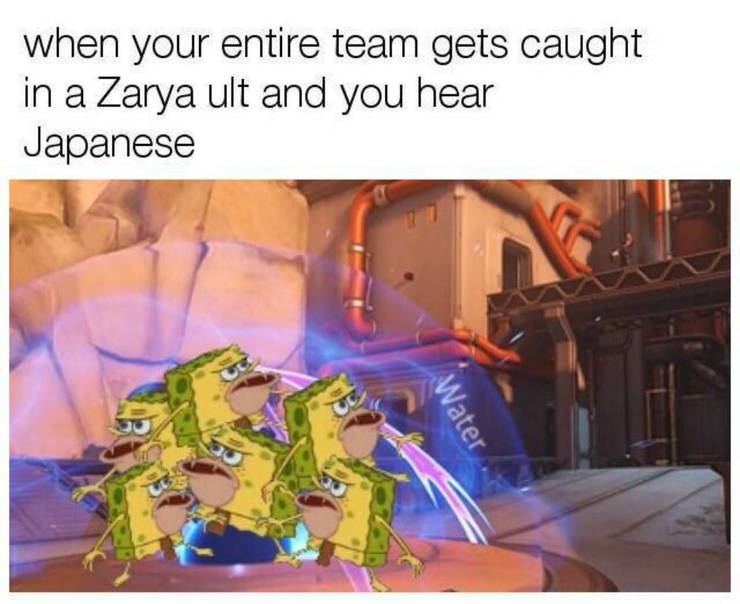 Hilarious Overwatch Memes Cbr