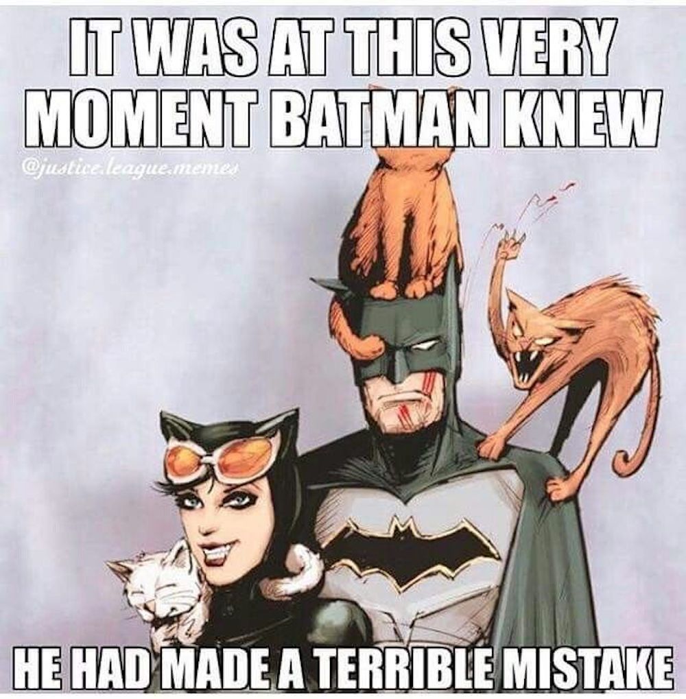 Catwoman Мем