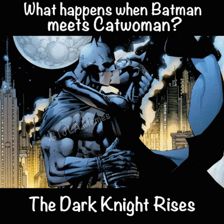 15 Hilarious Batman And Catwoman Memes Cbr