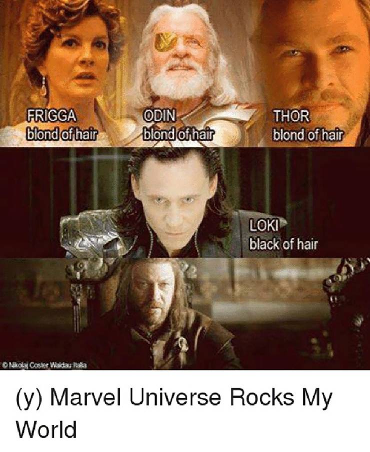 Danknarok 25 Hilarious Thor Family Memes Cbr