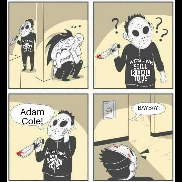 You Can T See Meme 15 Wwe Memes Only True Marks Will Get Cbr