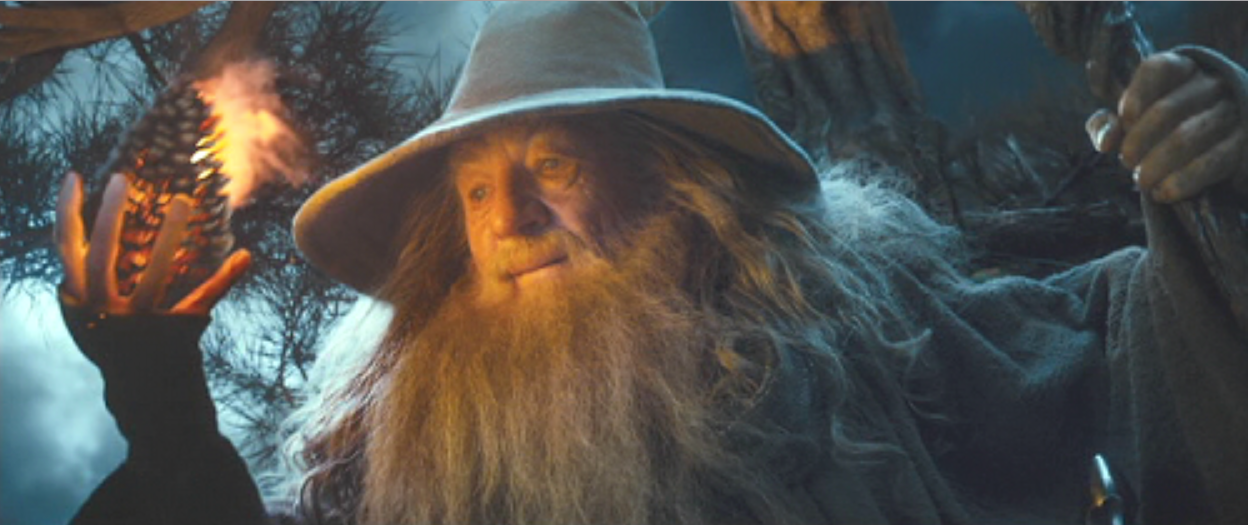 lord of rings wizard lord of rings wizard