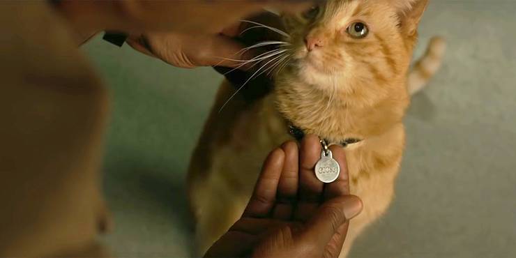 Captain Marvel Everything You Need To Know About The Flerken Captain Marvel Everything You Need To Know About The Flerken
