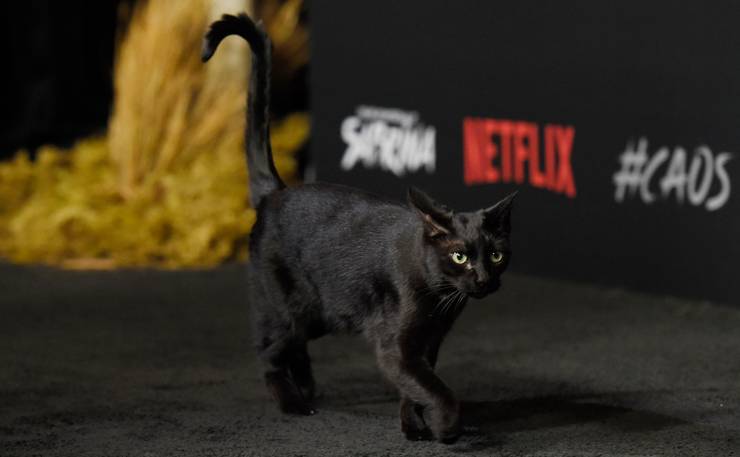 Sabrina 10 Facts About Salem Her Cat Cbr