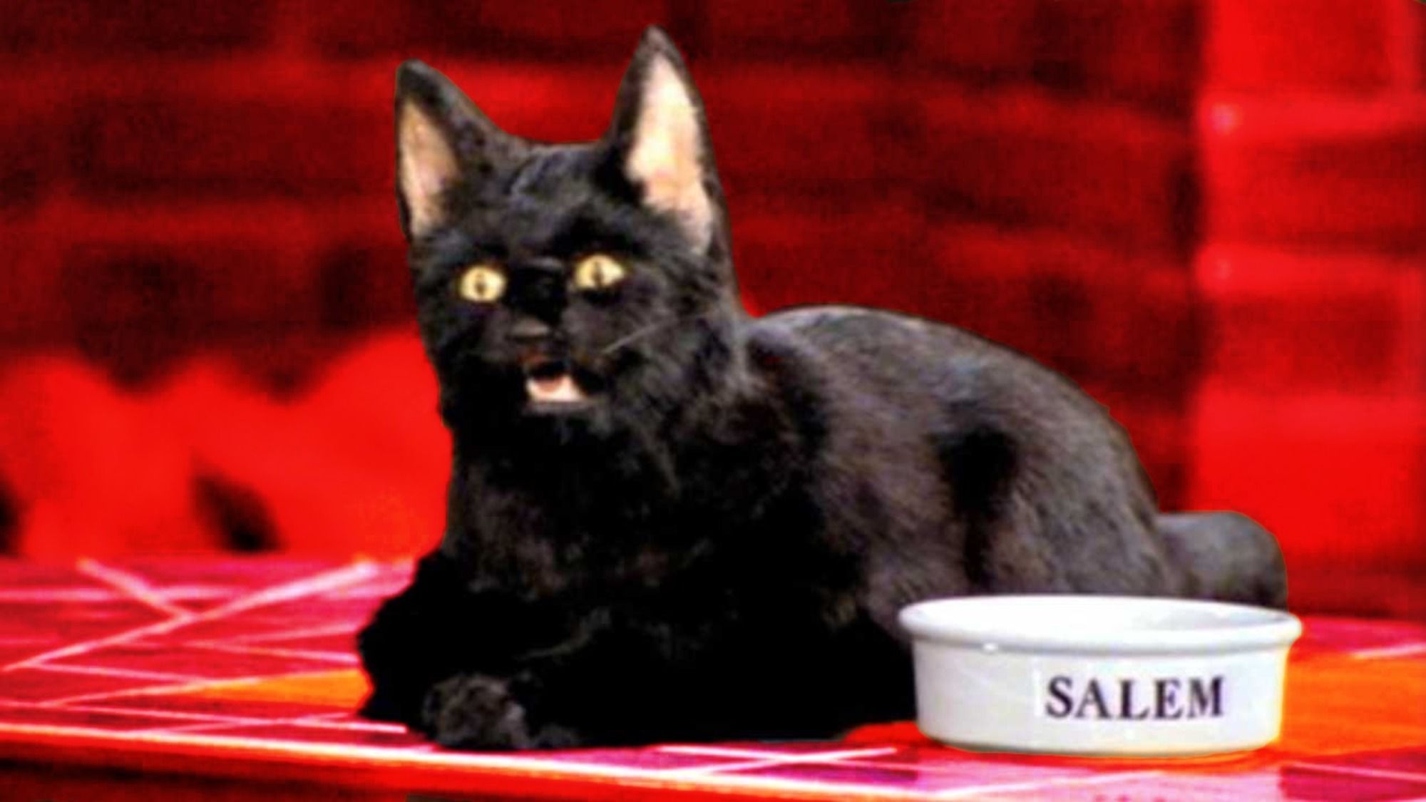 Featured image of post Sabrina The Teenage Witch Salem Human Form Sabrina the teenage witch comic preview