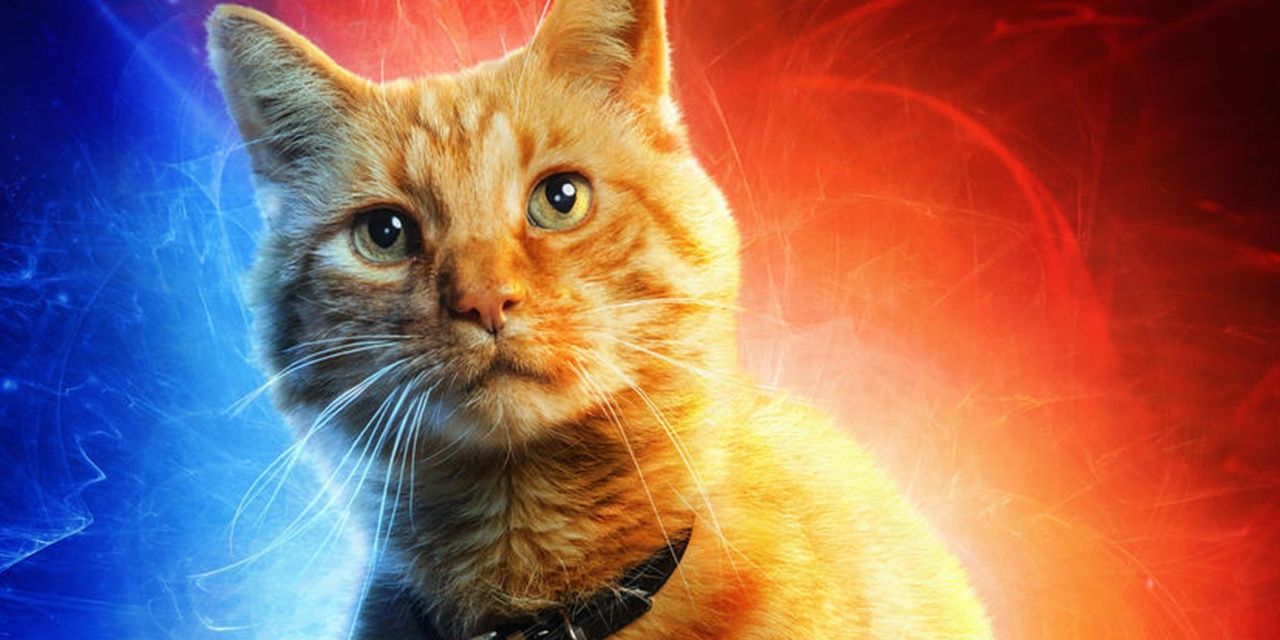 Avengers: Endgame Theory - Captain Marvel's Cat Is Key to 