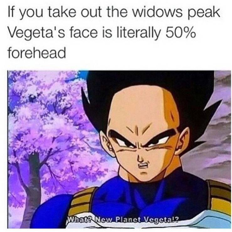 Dragon Ball 15 Hilarious Memes That Ll Make You Go Super Saiyan With Laughter Dragon Ball 15 Hilarious Memes That Ll Make You Go Super Saiyan With Laughter
