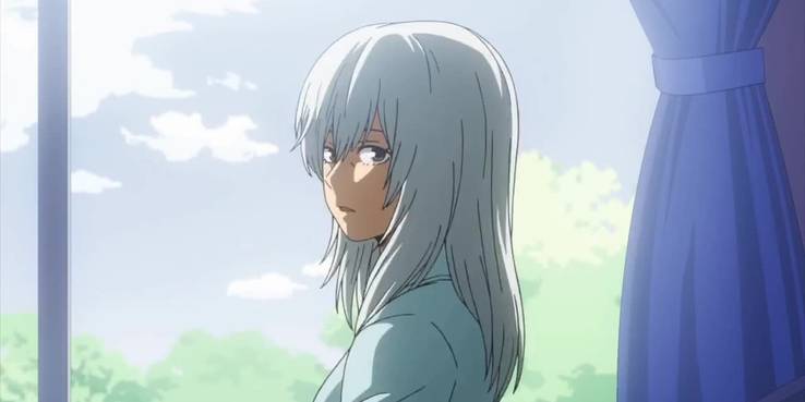 Curiosidades Todoroki Boku no Hero