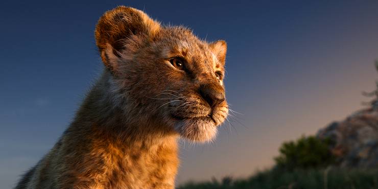 Cats Would Have Been Better If It Learned This From The Lion King Cats Would Have Been Better If It Learned This From The Lion King