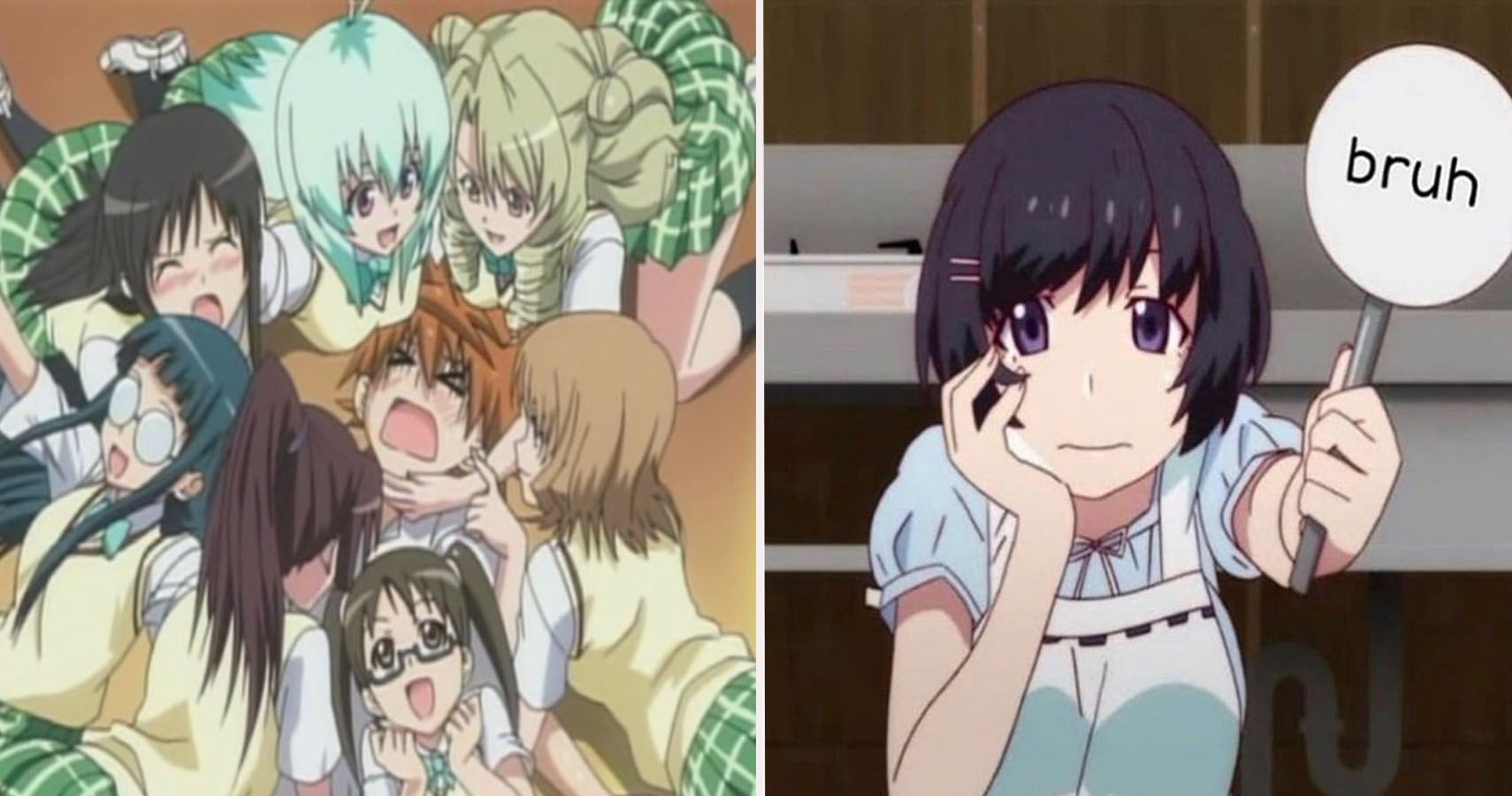 Harem Anime