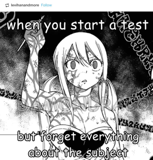 Fairy Tail 10 Hilarious Memes That Will Make You Cry Laughing Fairy Tail 10 Hilarious Memes That Will Make You Cry Laughing