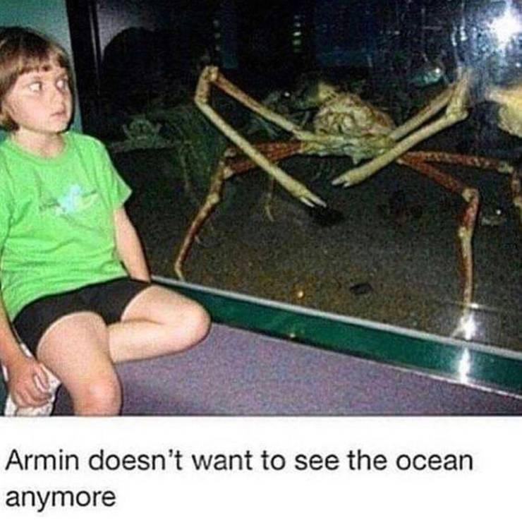 Bald Reiner Aot - Suwaru Wallpaper