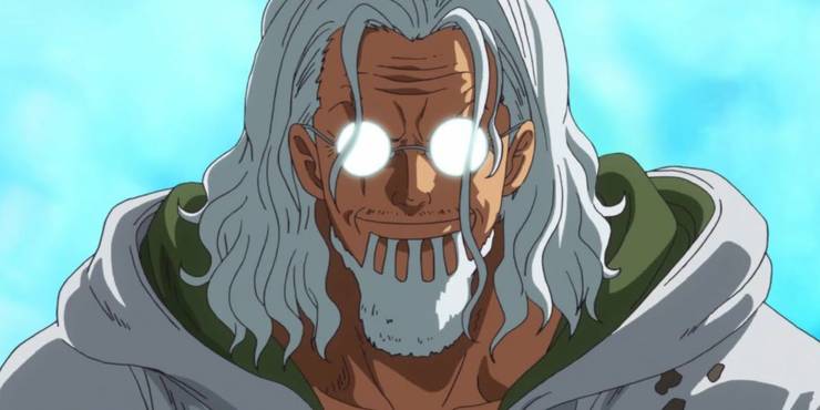 10 Detail Misterius Tentang Silver Rayleigh! | Greenscene