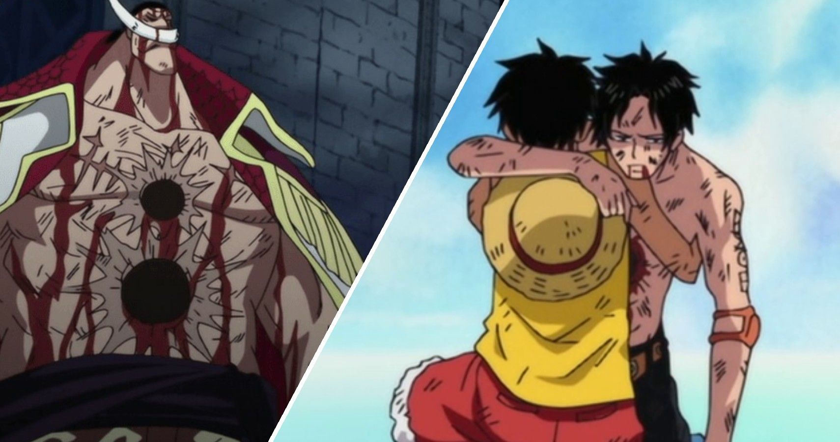 One Piece 10 Saddest Deaths That Broke Our Hearts Cbr