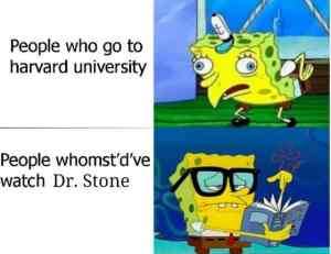 Download Dr Stone 10 Hilarious Memes Only True Fans Will Understand For Android Free Wallpaper Dr Stone 10 Hilarious Memes Only True Fans Will Understand Free HD