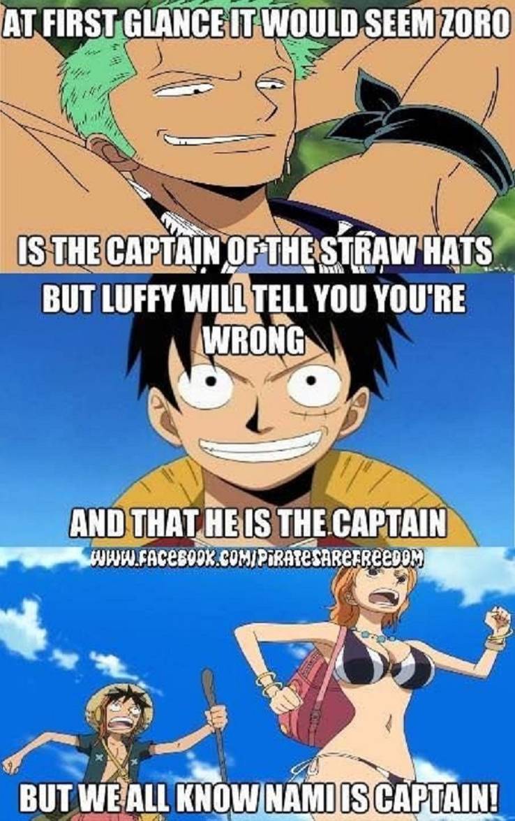 One Piece Wallpaper One Piece Luffy And Nami Facebook