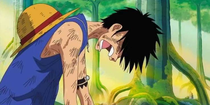 One Piece The 10 Best Episodes Of The Sabaody Archipelago Arc According To Imdb One Piece The 10 Best Episodes Of The Sabaody Archipelago Arc According To Imdb