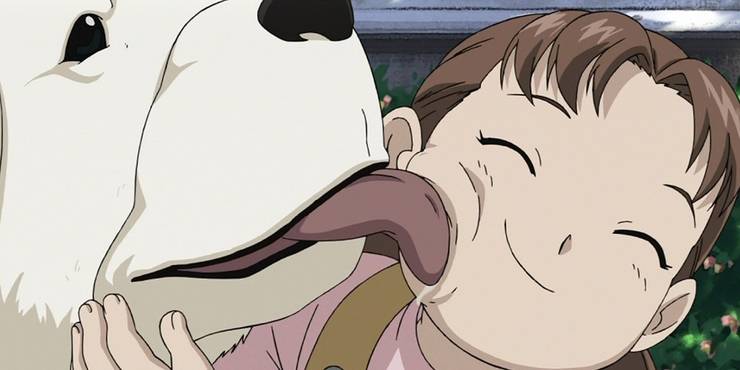 Get Nplzxmdzalmpm HD Wallpaper Nplzxmdzalmpm For iPhone