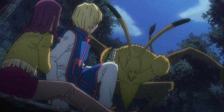 Hunter X Hunter 10 Facts You Didn T Know About The Dark Continent