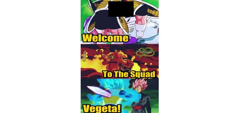 10 Hilarious Super Saiyan God Vegeta Memes Only True Fans Will Get. 18 ssgs vegeta 8 1