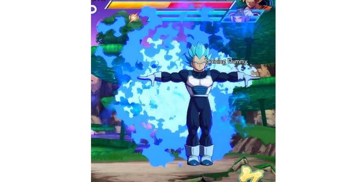 10 Super Saiyan God Vegeta Memes Only Dragon Ball Super Fans