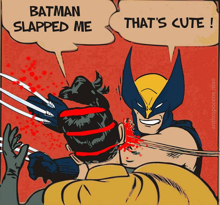 Batman 10 Funniest Slapping Robin Memes That Make Us Cry Laugh