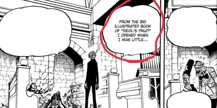 One Piece 10 Things About Devil Fruits In One Piece That Makes No Sense One Piece 10 Things About Devil Fruits In One Piece That Makes No Sense