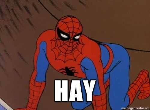 10 Funniest Memes From 60's Spider-Man Show 3 Hay