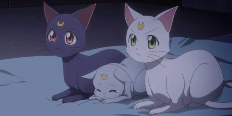 Sailor Moon 10 Questions About Artemis Answered Cbr Sailor Moon 10 Questions About Artemis Answered Cbr