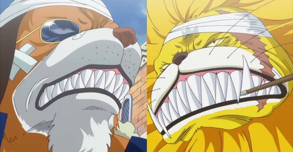 One Piece: 10 Strongest Mink Tribe Members | CBR