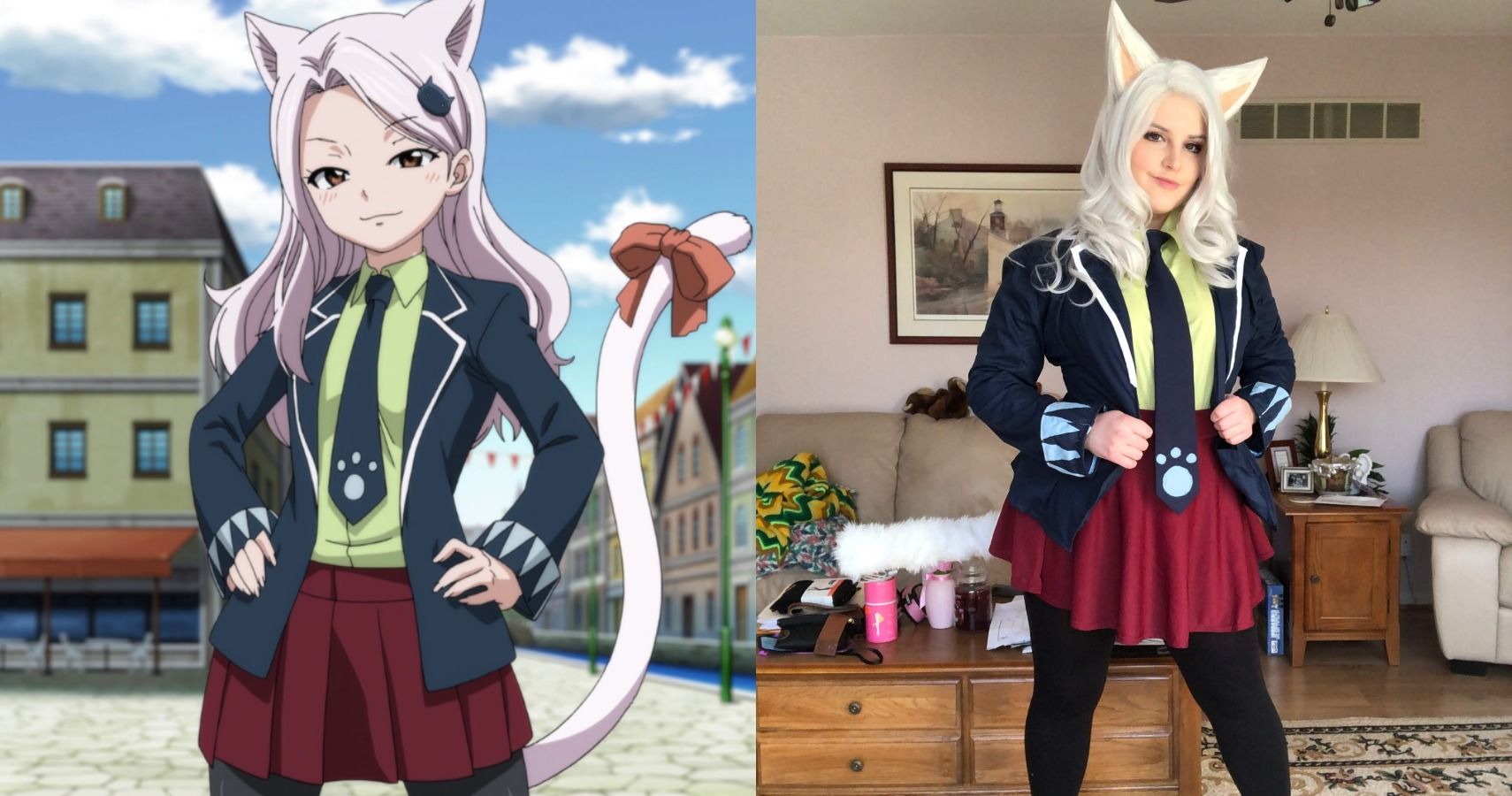 Tail Cosplay