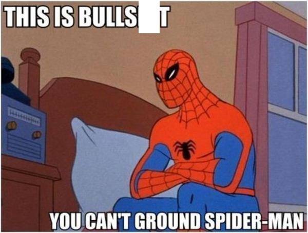 10 Funniest Memes From 60's Spider-Man Show 2 grounded