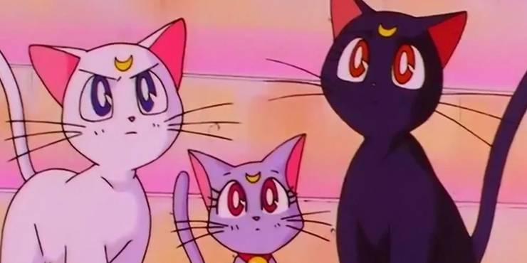 15 Most Memorable Anime Cats Cbr