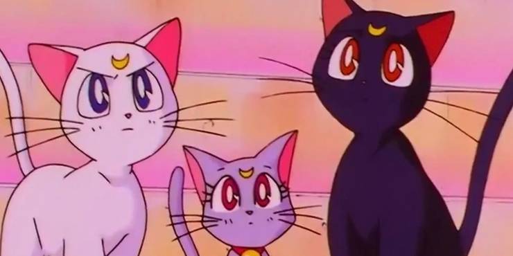 15 Most Memorable Anime Cats Cbr 15 Most Memorable Anime Cats Cbr