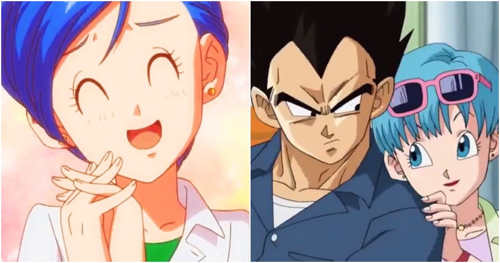 10 Things You Didn T Know About How Vegeta And Bulma Fell In Love In Dragon Ball Z