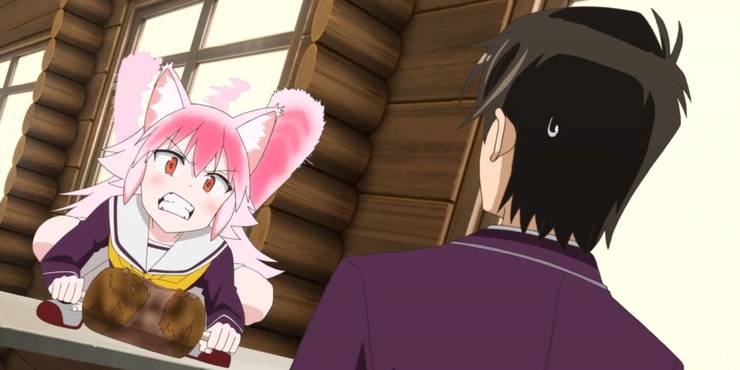 10 Things That Don T Make Sense About Seton Academy Join The Pack 10 Things That Don T Make Sense About Seton Academy Join The Pack