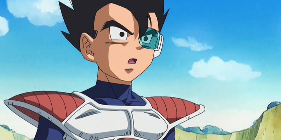 Dragon Ball 10 Facts You Didn T Know About Vegeta S Brother Turner Blog 4168