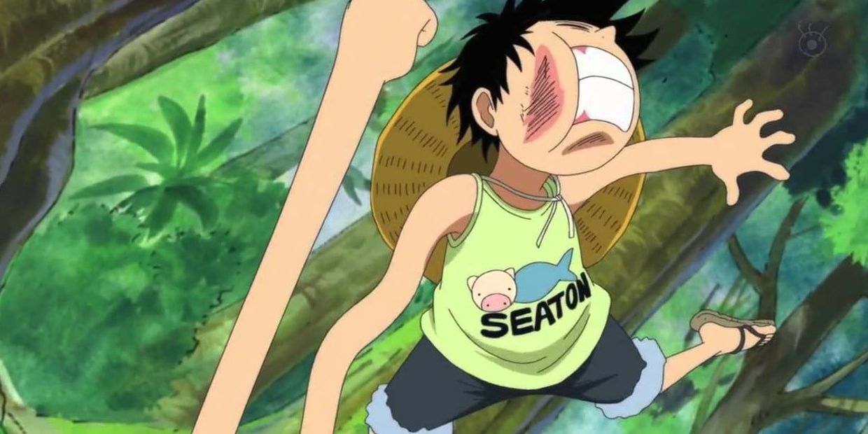 One Piece: As 10 histórias de fundo mais trágicas da série até o momento 3