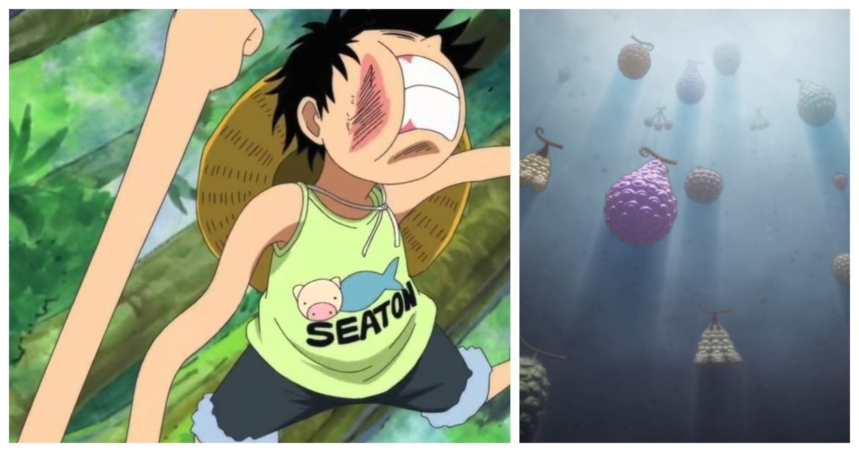 One Piece 5 Devil Fruits That Are More Beneficial To Luffy 5