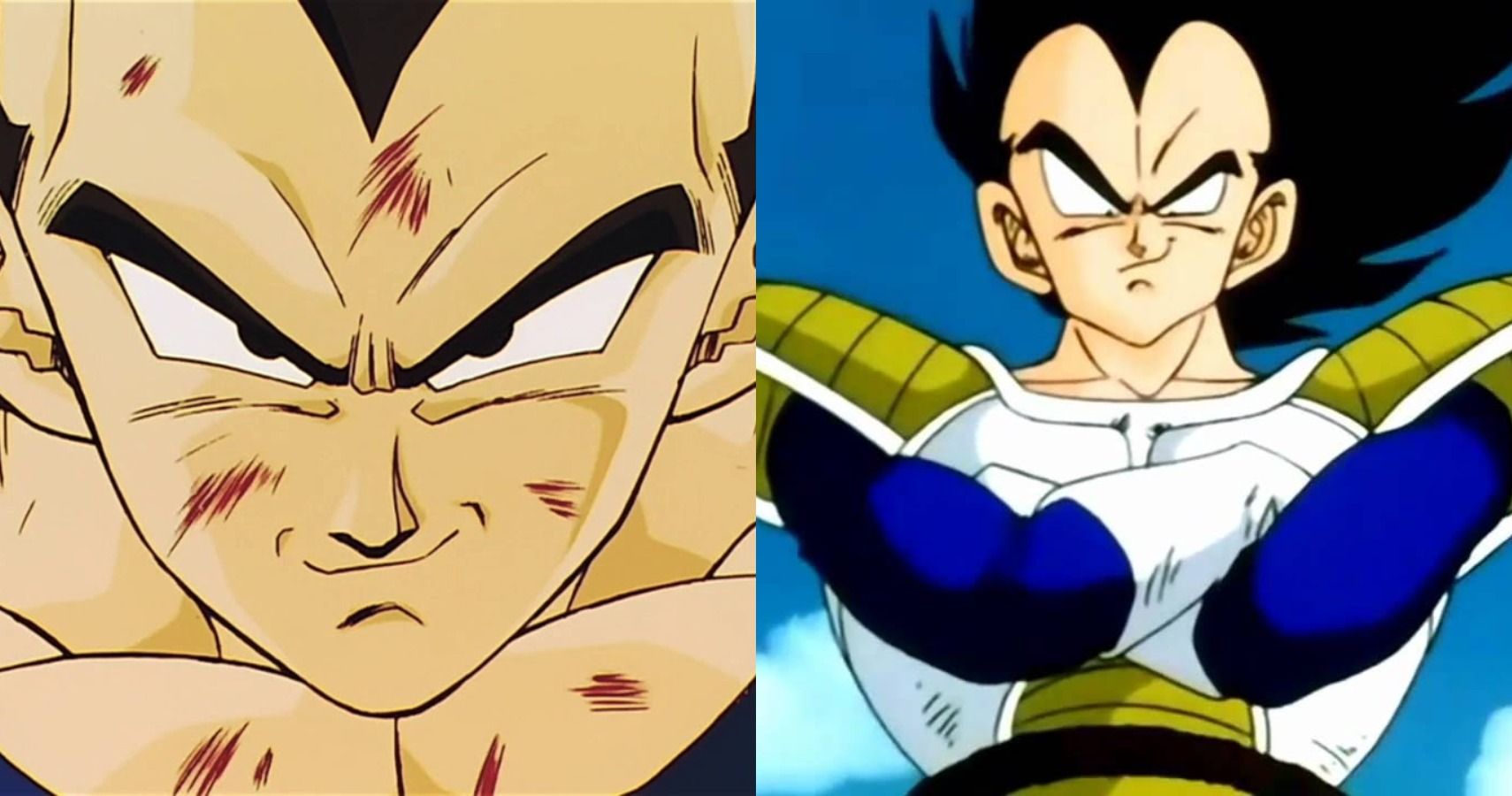 vegeta cbr