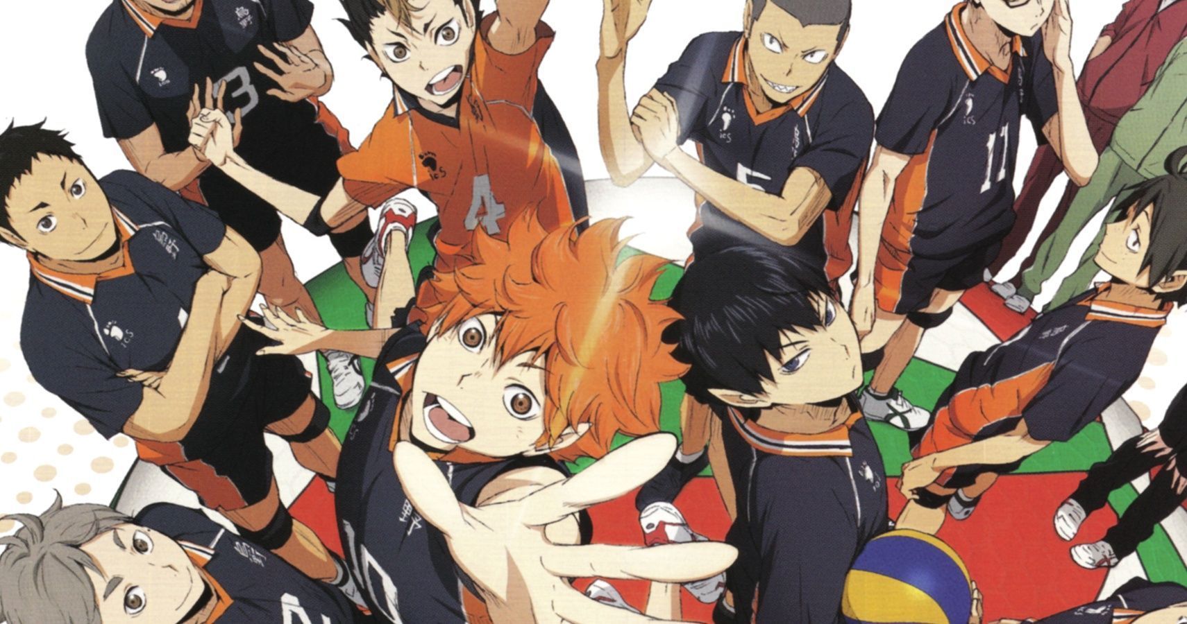 Haikyū!! (anime), Wiki Haikyuu!!