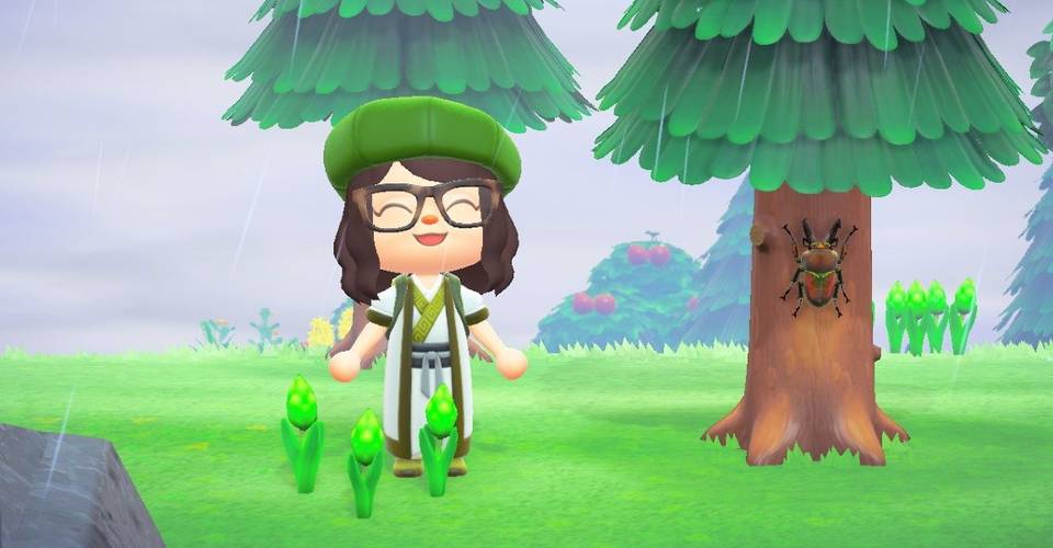 Animal Crossing Cottagecore Islands Are Everywhere Here S Why