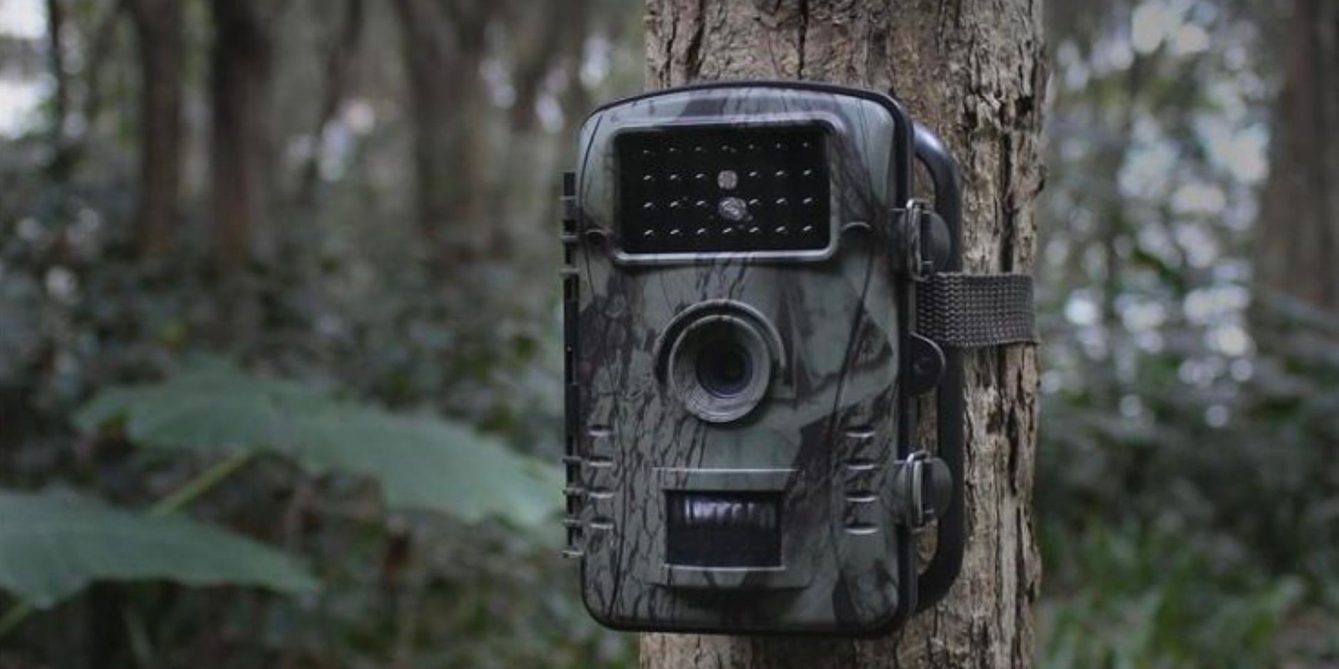 Best Game Cameras That Send Pictures To Your Phone How To Choose