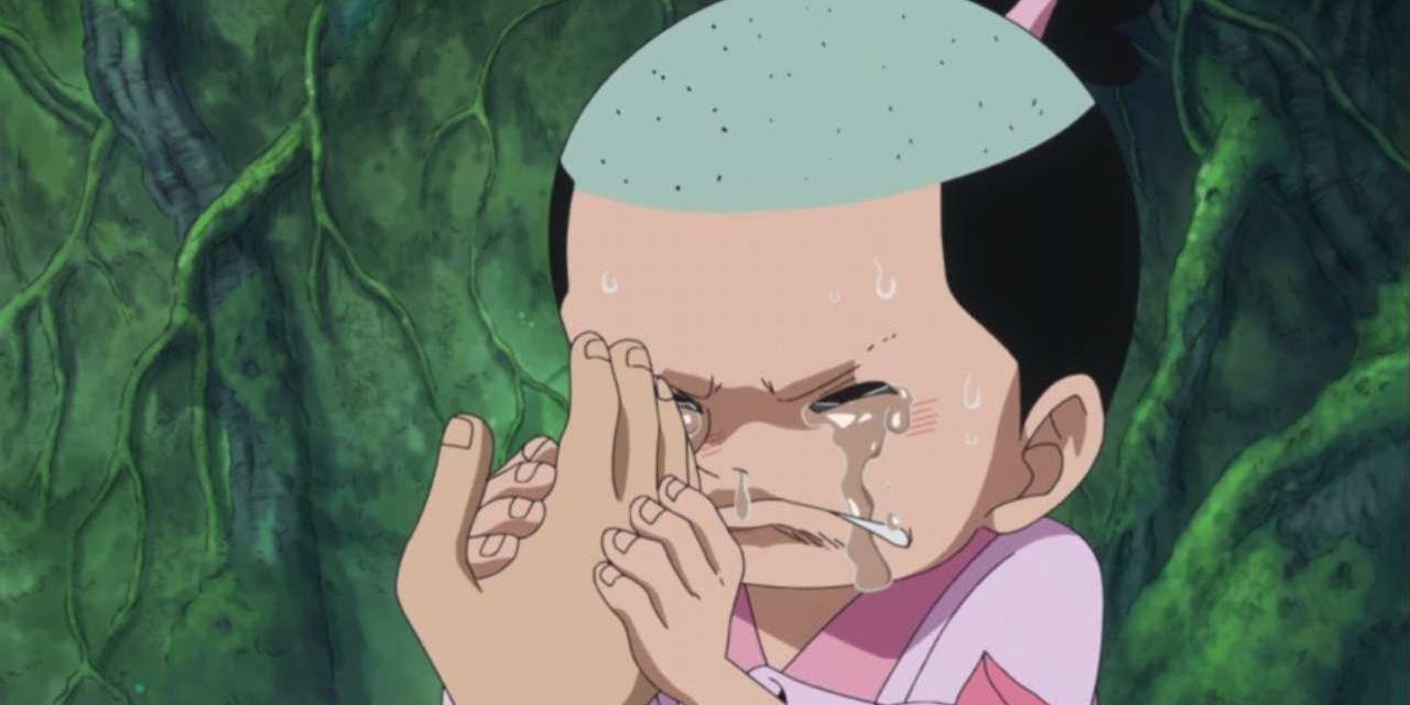 One Piece 10 Things You Didn T Realize Were Foreshadowed Cbr